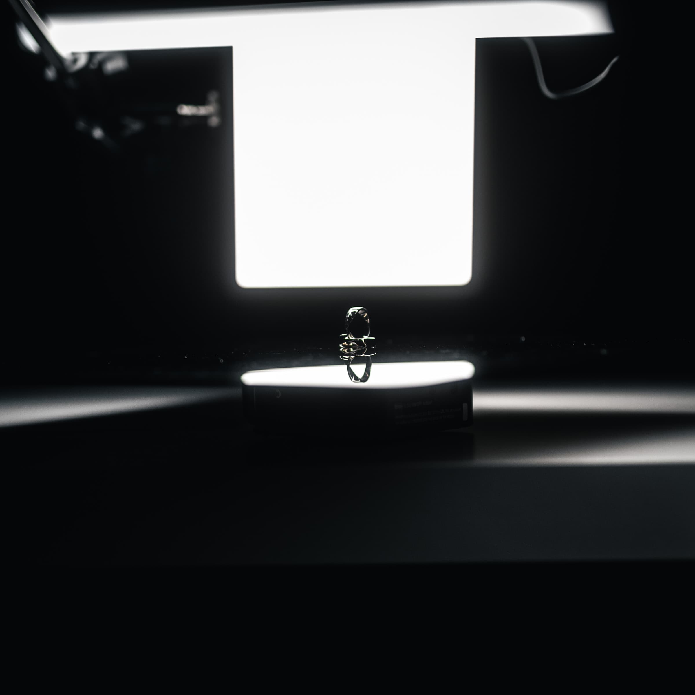 Description of 20251120-6507.jpg