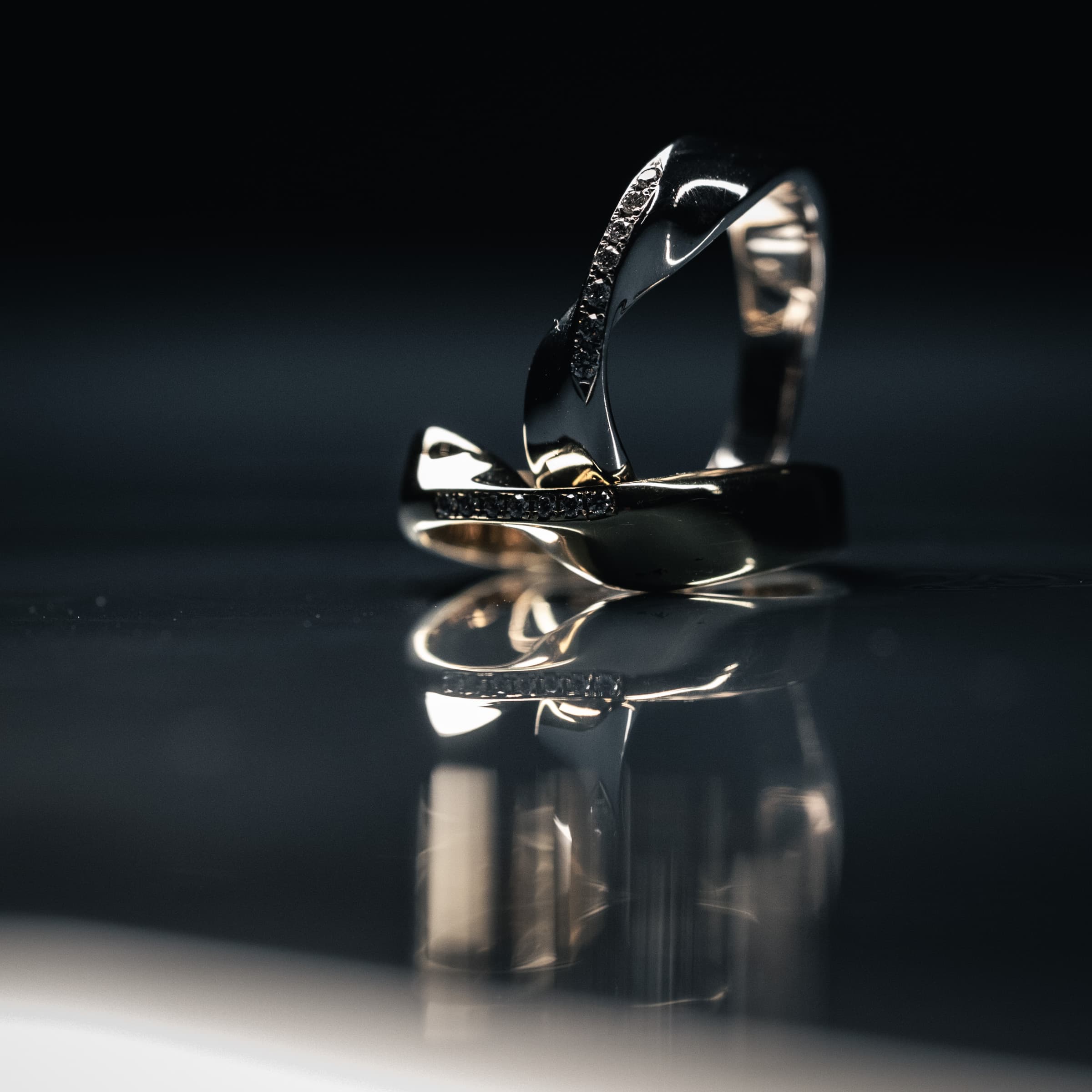 Description of 20251122-6528.jpg